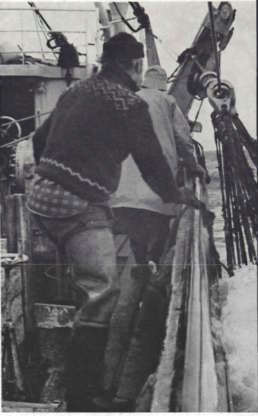 Mynd:Á nótaveiðum.- Hringirnir koma úr sjó.png