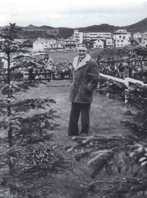 Í grenilundinum Sdbl. 1991.jpg