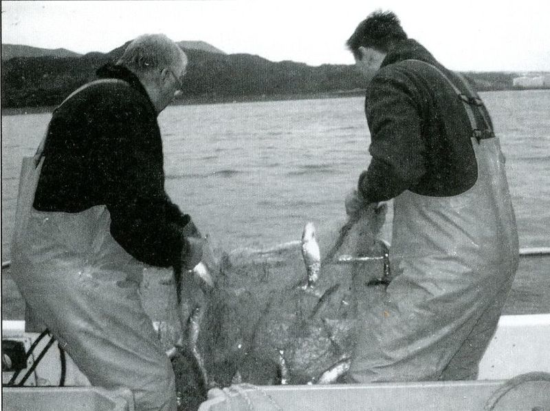 Mynd:Reknet dregin í Klettsvík Sdbl. 2010.jpg