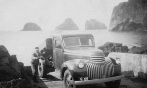 Vatnsdalur folkid högni oskubill.jpg