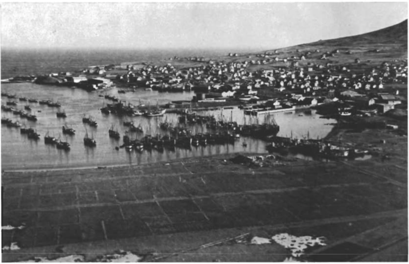 Mynd:Vestmannaeyjahöfn og Botninn 1944.png