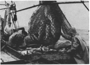 Screen Shot 2016-07-08 at 14.11.25.png