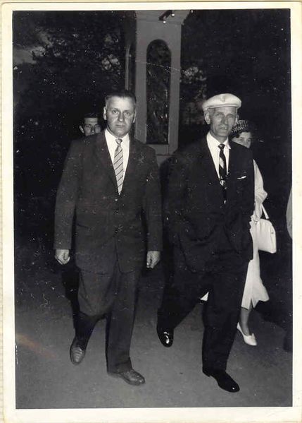 Mynd:Fa-brunt (1).jpg