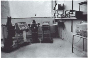 Screen Shot 2017-06-13 at 09.00.43.png