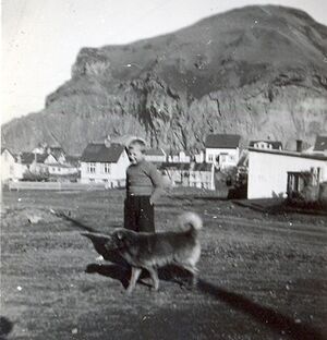 Óþekktur drengur.jpg