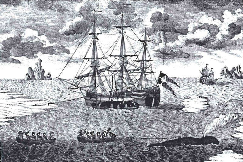 Mynd:Hvalveiðar við Svalbarða Sdbl. 1991.jpg