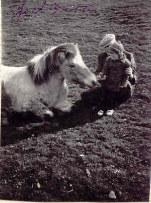 Jóel og siggi02.jpg