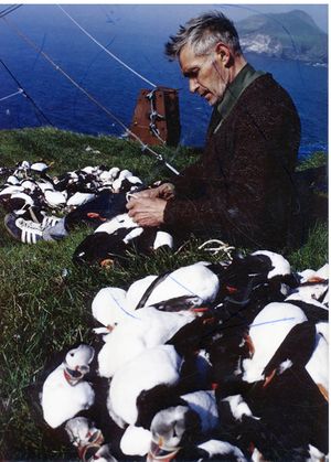 Photograph (2)-001.jpg