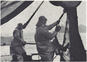 Á nótaveiðum við Eyjar.png