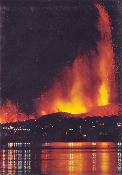 Mynd:Fa-grænt (21).jpg