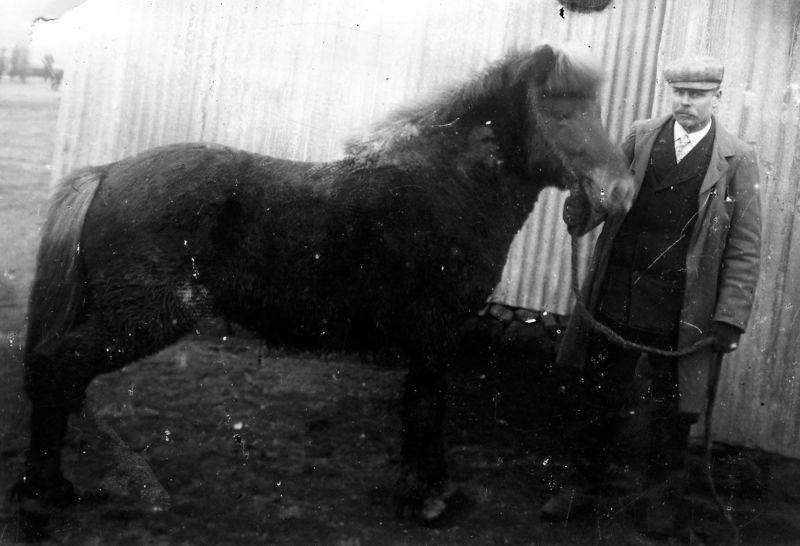 Mynd:KG-mannamyndir 10501.jpg