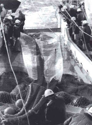 Í prufutúrnum Sdbl. 1992.jpg