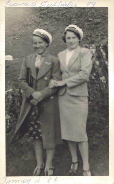 Mynd:Fa-fjólublátt (38).jpg