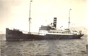 Skip á siglingu.jpg