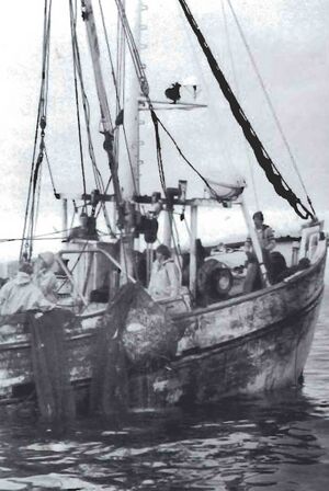 Stofnun Eyjaíss 3 Sdbl. 1987.jpg