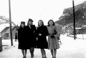 Tib-mannamyndir 17792.jpg