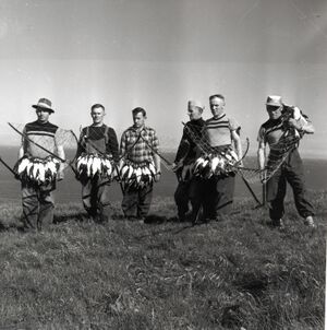 Nokkrir höfðingjar úr Elliðaey..jpg