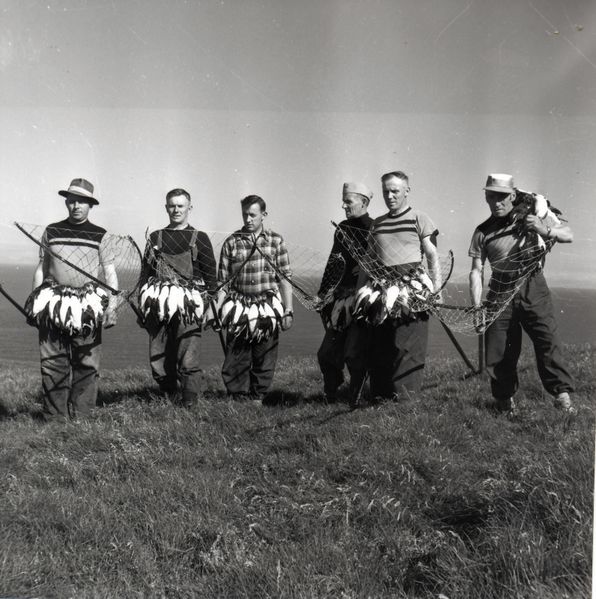 Mynd:Nokkrir höfðingjar úr Elliðaey..jpg