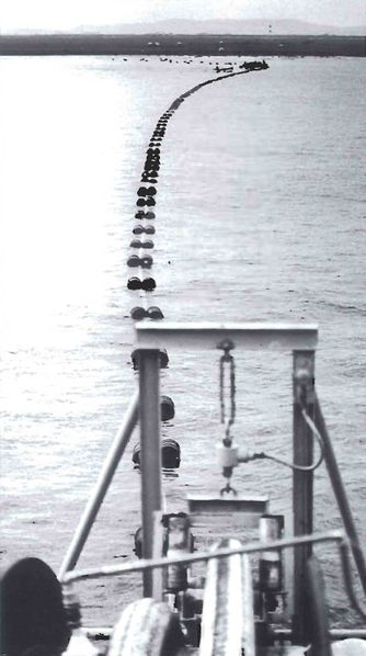 Mynd:Landtakan Sdbl. 1999.jpg