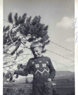 Fa-fjólublátt (36).jpg