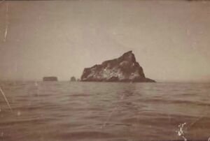 Fa-fjólublátt (48).jpg