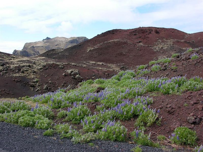 Mynd:Hansueli (115).JPG