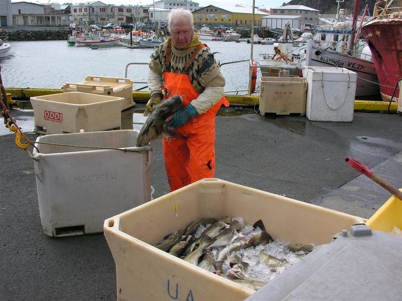 Mynd:Hansueli (122).JPG