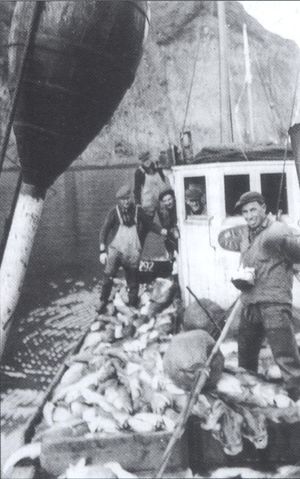 Lagarfoss kemur drekkhlaðinn Sdbl. 2008.jpg