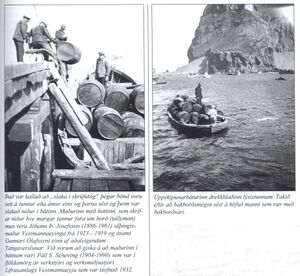 Það var kallað Sdbl. 2008.jpg