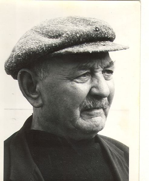 Mynd:Bergur frá Hjálmholti.jpg