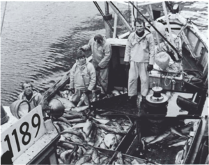 Screen Shot 2017-07-26 at 11.44.27.png