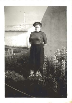 Fa-fjólublátt (53).jpg