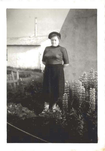 Mynd:Fa-fjólublátt (53).jpg