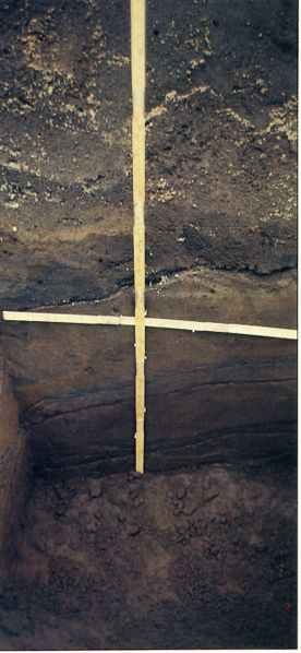 Mynd:Saga Vestm., E, 32hb.jpg