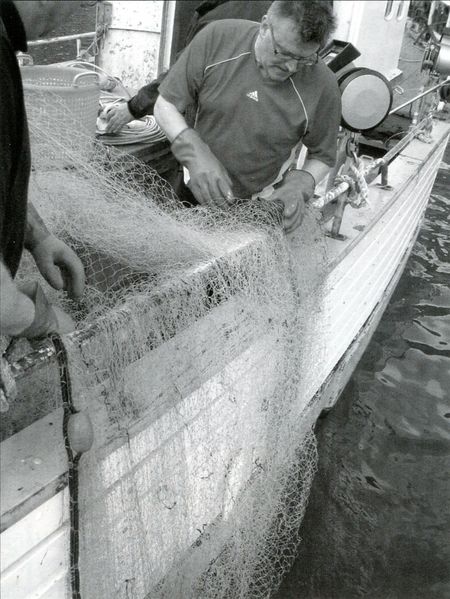 Mynd:Bergur dregur reknetið um borð Sdbl. 2009.jpg