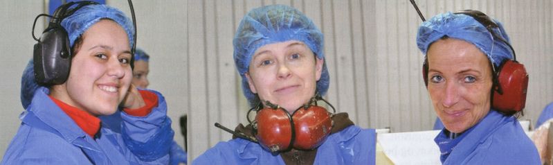 Mynd:F v Silja Elsabet Brynjarsdóttir Sdbl. 2010.jpg