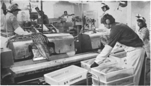 Screen Shot 2017-07-14 at 10.31.24.png