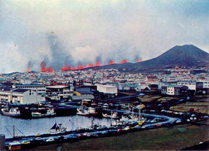 Mynd:Fa-grænt (16).jpg