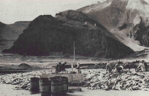 Auðæfi hafsins 1 Sdbl. 1958.jpg