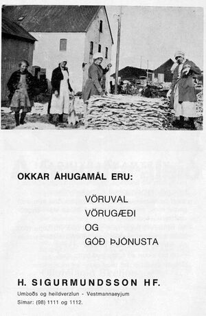 Blik1976 auglysing bls237.jpg