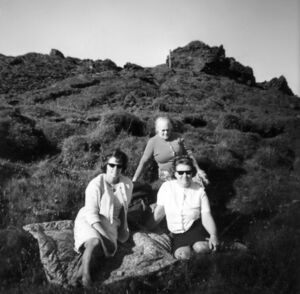 Urdavegur ibuar hjalmholti.jpg