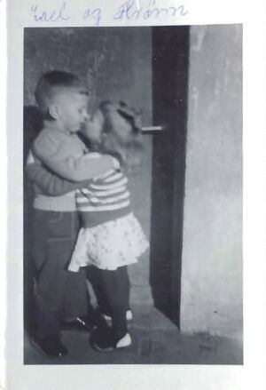 Fa-fjólublátt (35).jpg