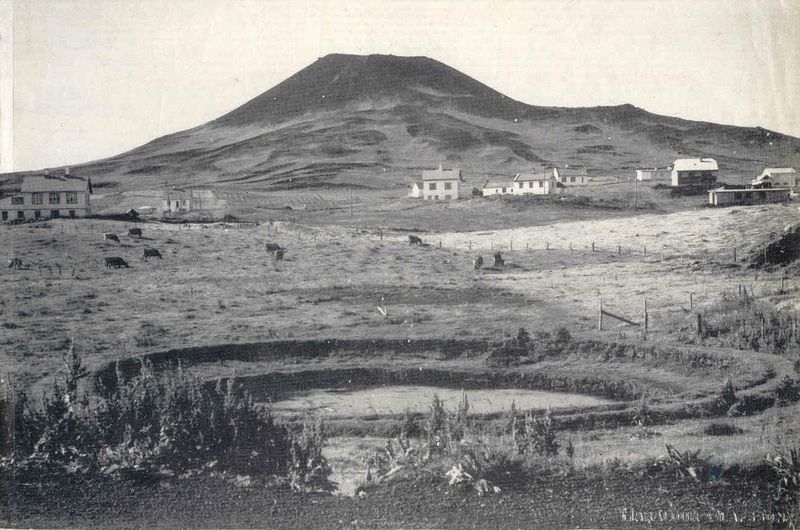 Mynd:Fa-grænt (35).jpg