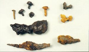 Saga Vestm., E, 32db.jpg