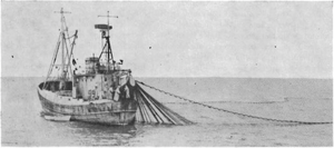 B Ófeigur II að síldveiðum með blakkarbúnaði.png