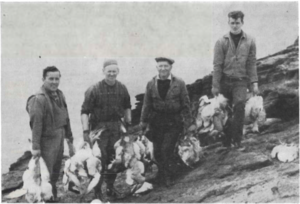 Þeir sækja súlu af krafti.png