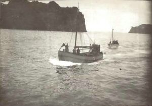 Fa-fjólublátt (25).jpg