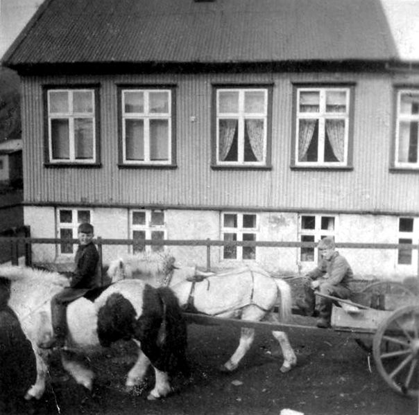 Mynd:Vatnsdalur folkid oli hogni akur.jpg